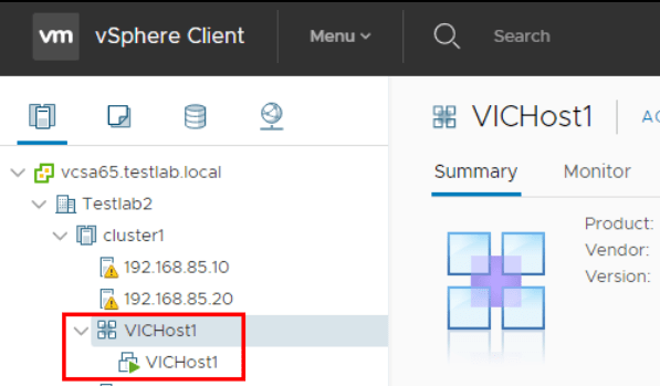 Virtual Container Host and VCH Endpoint VM