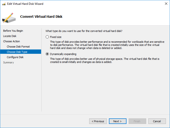 Choose the disk type for conversion