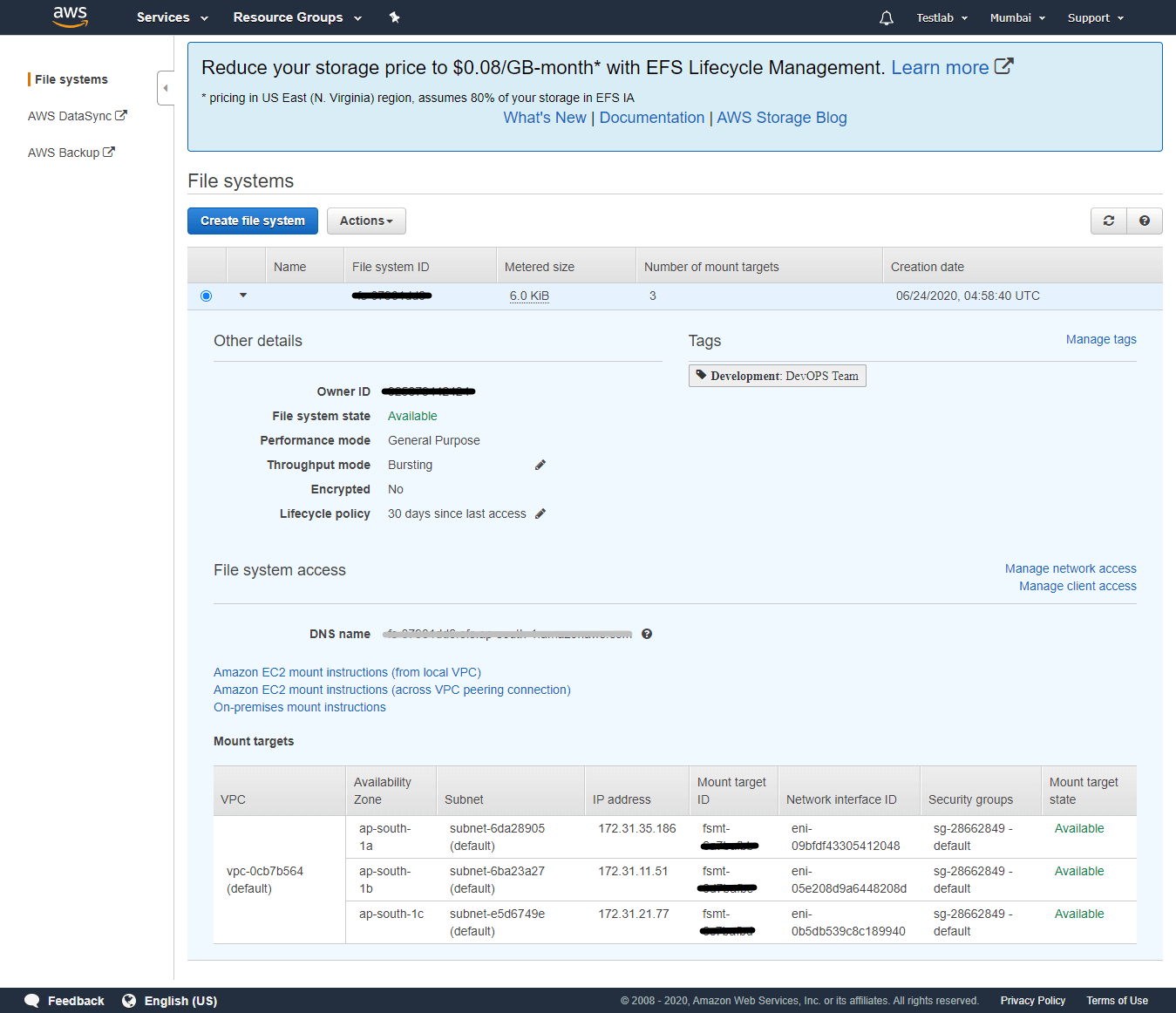 Amazon Elastic File System