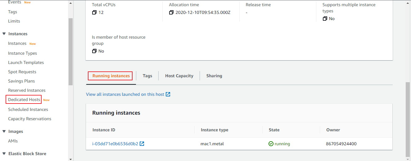 Amazon EC2 Mac Instances