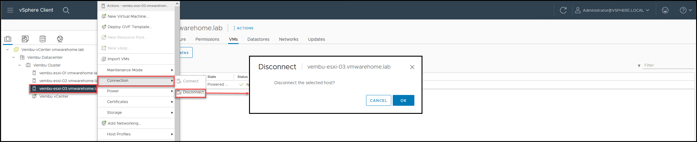 VMware-Datacenter-and-Clusters