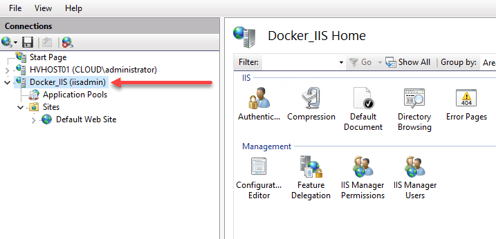 How to run IIS in Docker Container