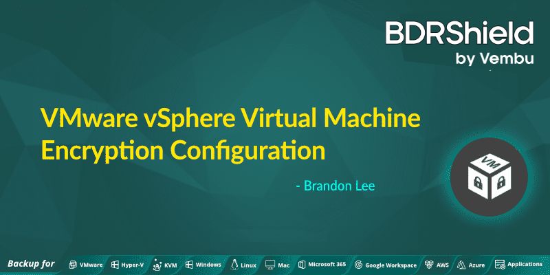 VMware backup solution