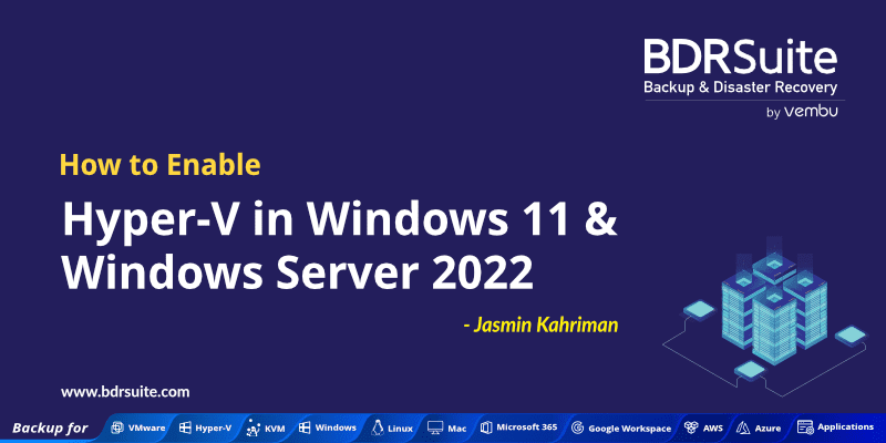 https://img.vembu.com/wp-content/uploads/2023/08/Windows-11-Windows-Server-2022.png