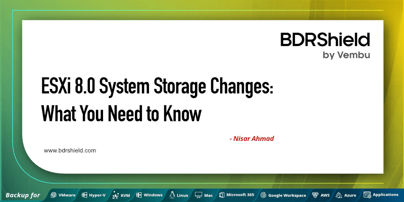 ESXi 8.0 system storage