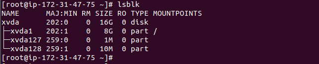 Resize Root disk in AWS