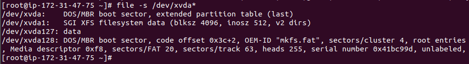 Resize Root disk in AWS