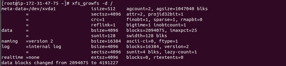 Resize Root disk in AWS