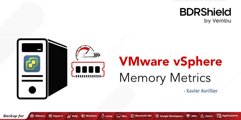 VMware backup solution