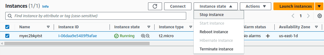 AWS EC2 Instance using EC2 Snapshots