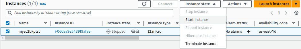 AWS EC2 Instance using EC2 Snapshots