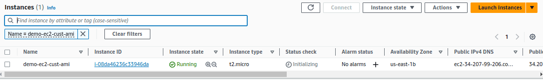 Creating an Amazon Machine Image (AMI) from an AWS EC2 Instance