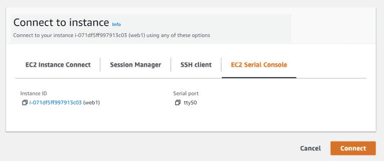 How to access the AWS EC2 instance serial console