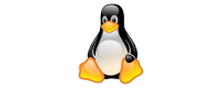linux