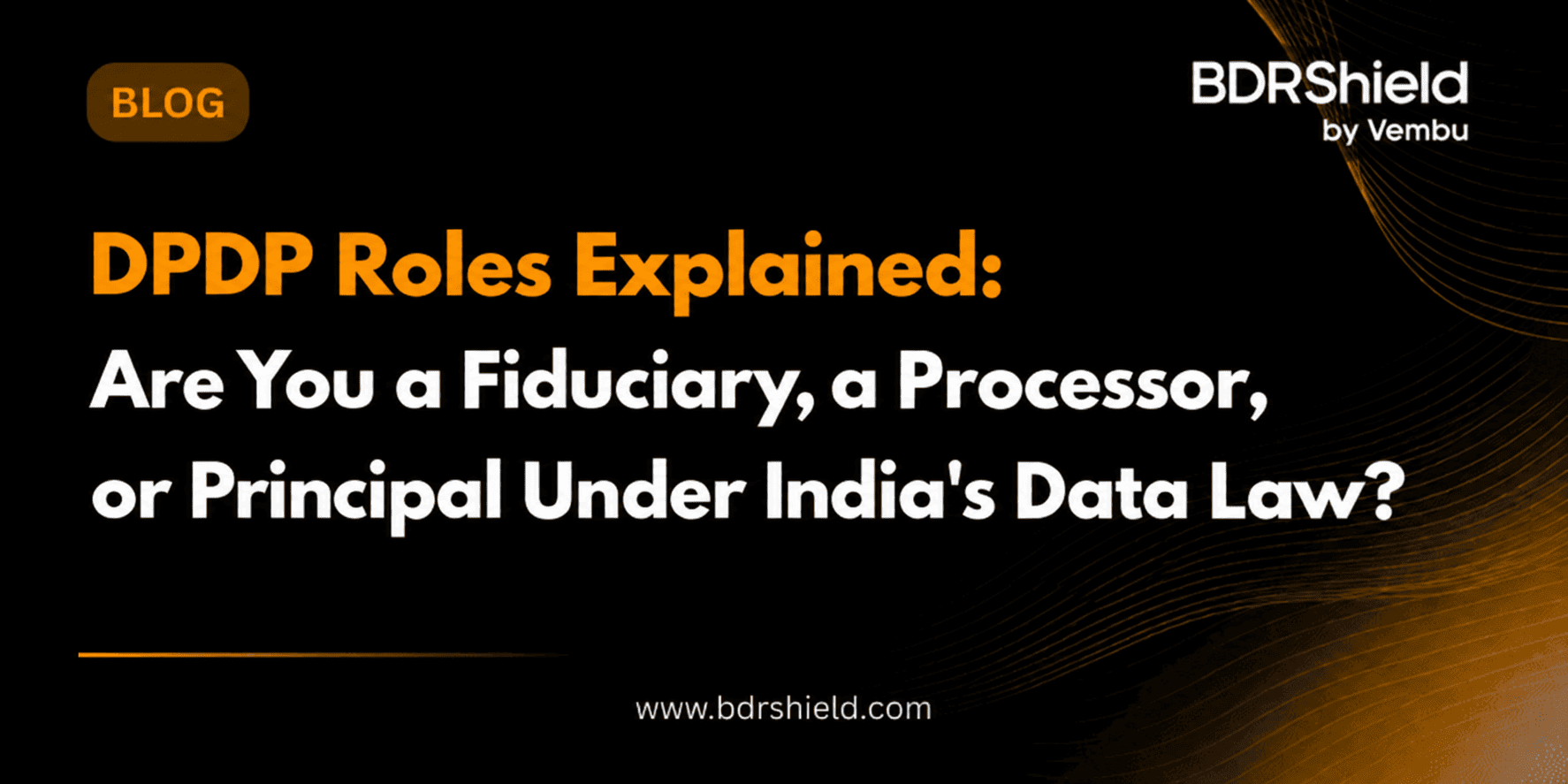 India's DPDP Roles Explained-image